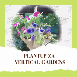 Plantup-za Vertical Gardens