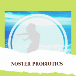 Noster Products
