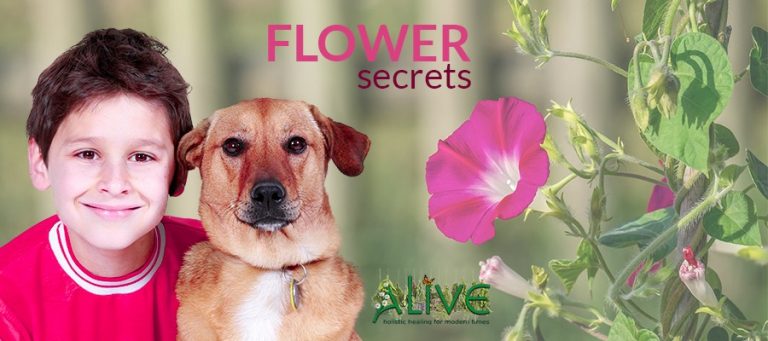 FLOWER SECRETS